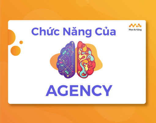 Chuc-Nang-Cua-Agency