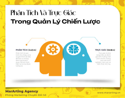 Tầm Quan Trọng của Việc Kết Hợp Phân Tích và Trực Giác trong Quản Lý Chiến Lược