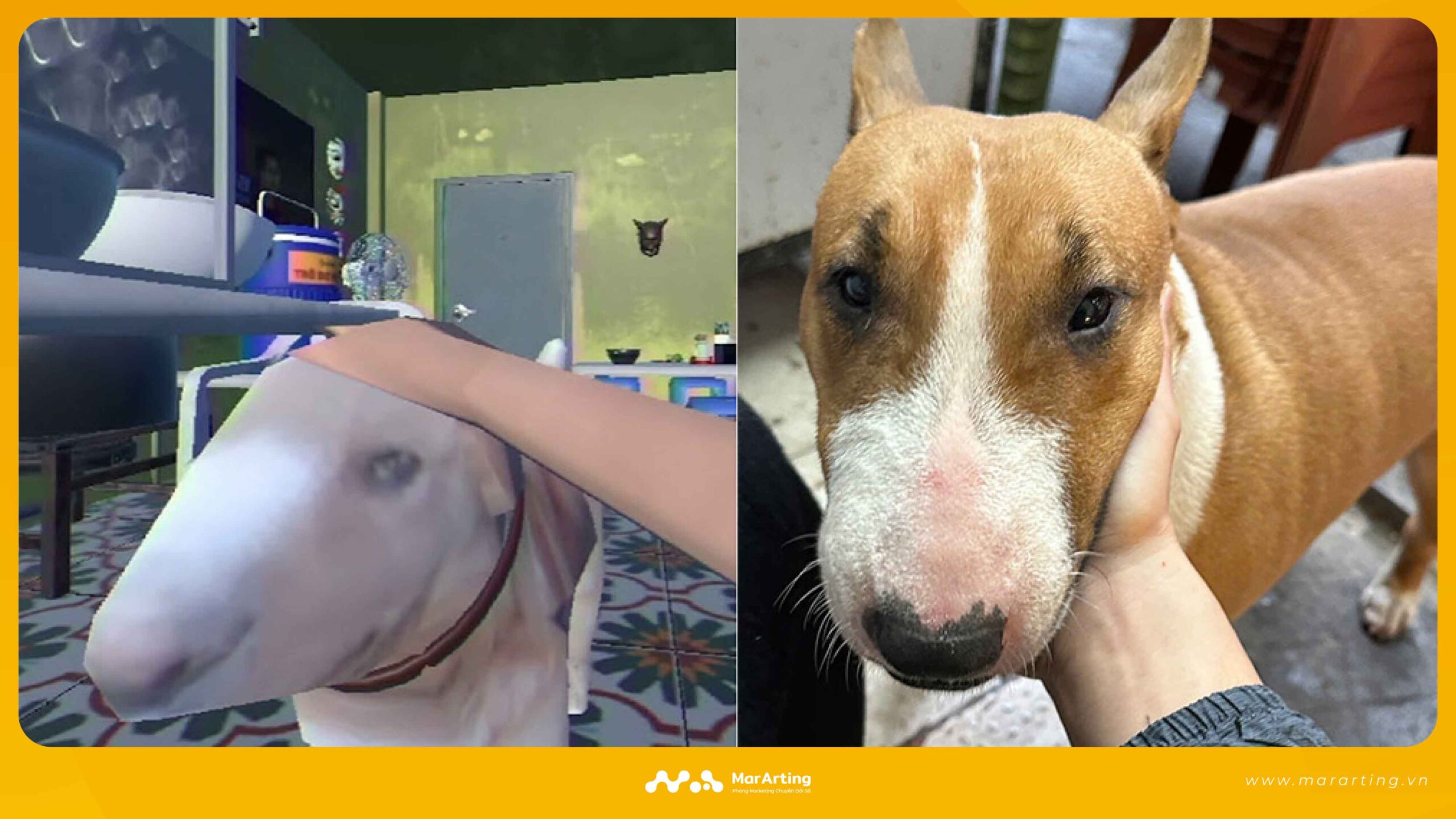 Hiệu ứng đời thực